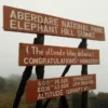 Elephant Hill Experience