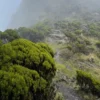 Elephant Hill Experience