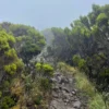 Elephant Hill Experience