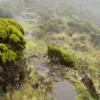 Elephant Hill Experience
