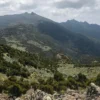 Elephant Hill Experience